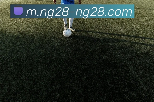 南宫28APP 封面图